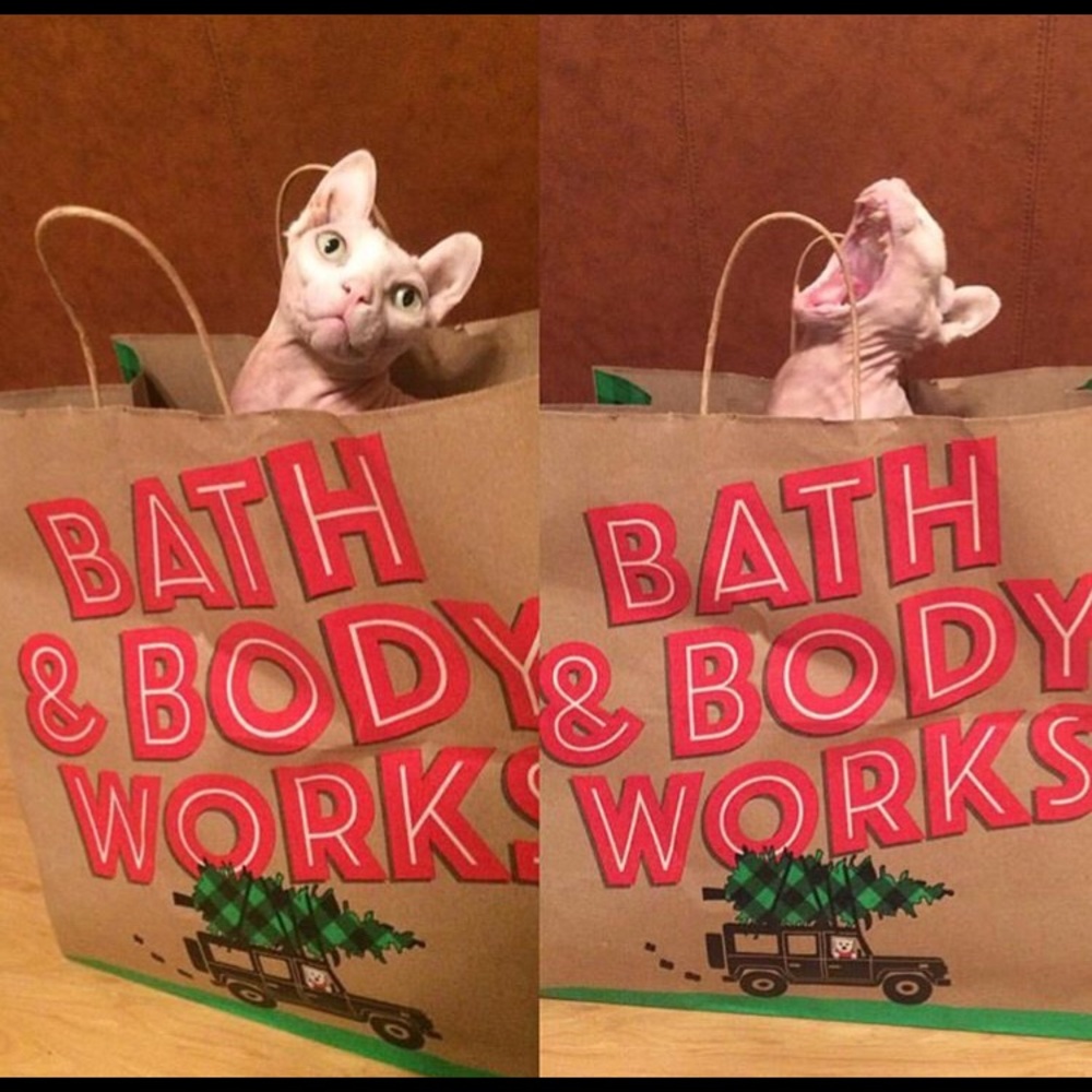 Meet your Posher, Natea